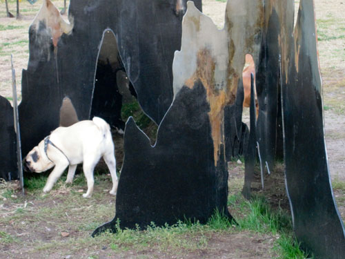 Dogs walk through sculpture, Socrates Sculpture Park