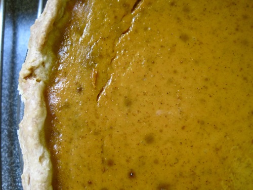 Pumpkin "pied beauty"