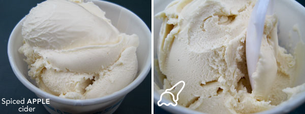 Shake Shack spiced apple cider custard rating = splat